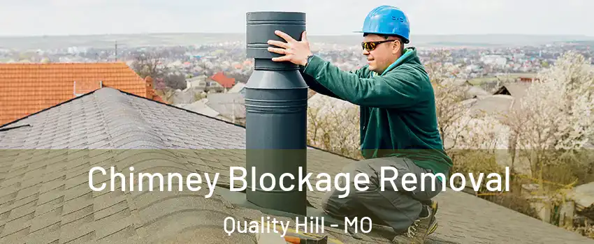 Chimney Blockage Removal Quality Hill - MO
