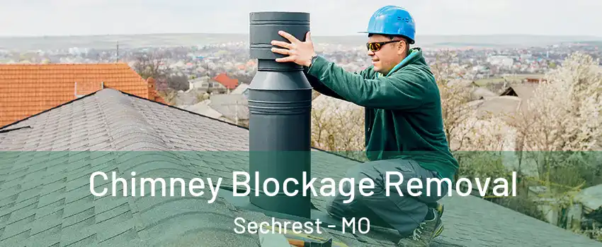 Chimney Blockage Removal Sechrest - MO