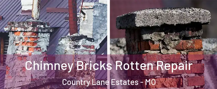 Chimney Bricks Rotten Repair Country Lane Estates - MO