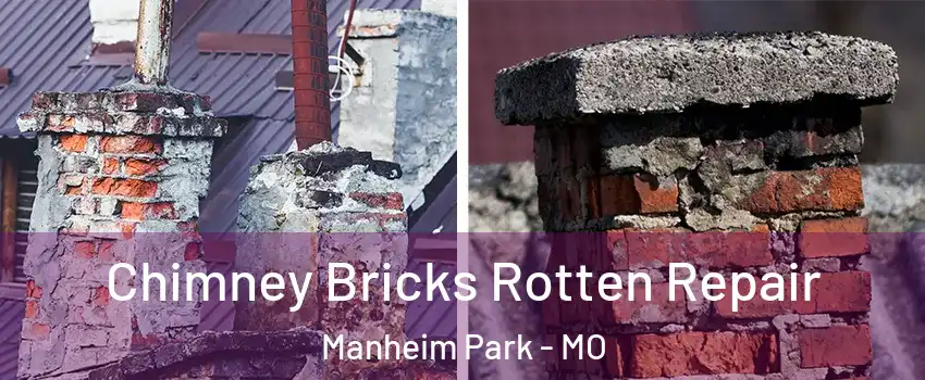 Chimney Bricks Rotten Repair Manheim Park - MO