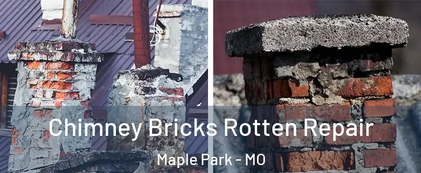 Chimney Bricks Rotten Repair Maple Park - MO