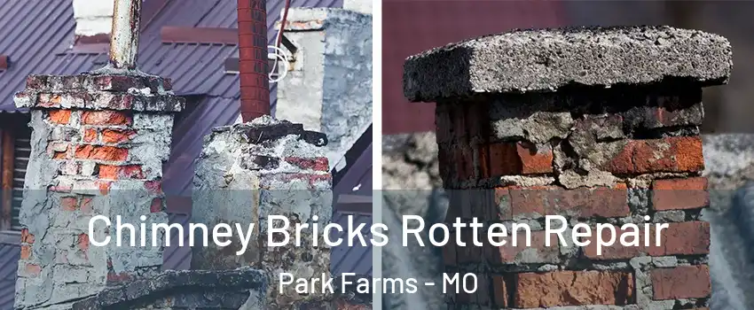 Chimney Bricks Rotten Repair Park Farms - MO