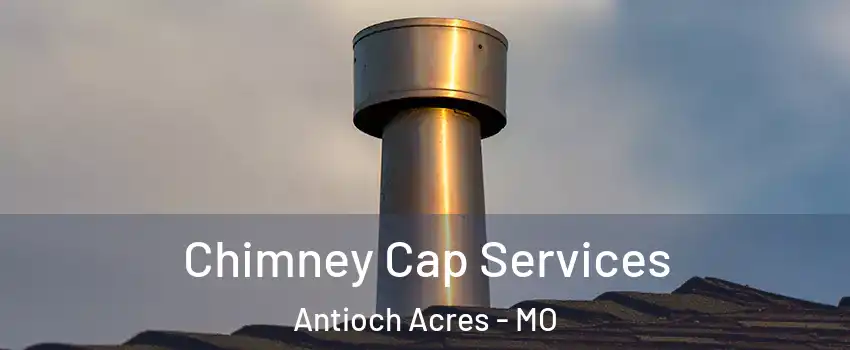 Chimney Cap Services Antioch Acres - MO