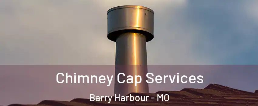 Chimney Cap Services Barry Harbour - MO