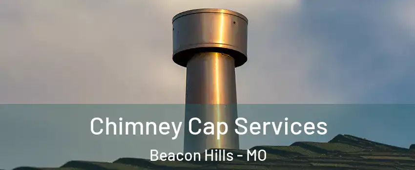 Chimney Cap Services Beacon Hills - MO