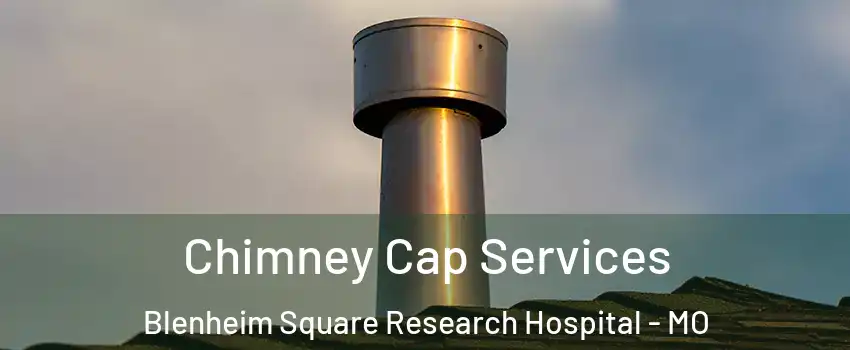 Chimney Cap Services Blenheim Square Research Hospital - MO