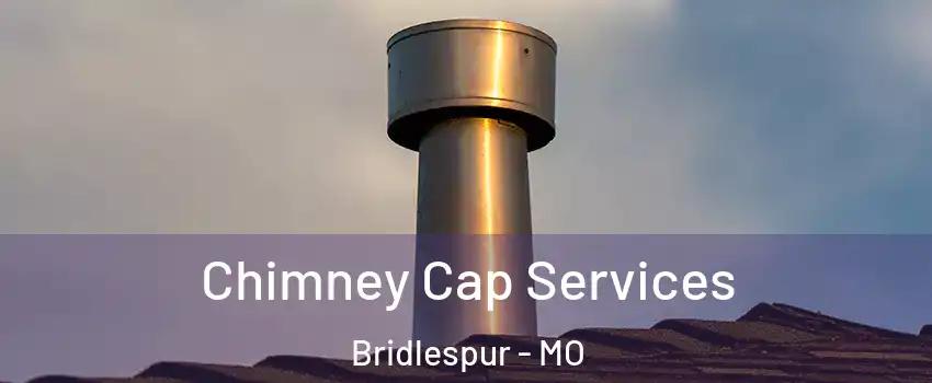 Chimney Cap Services Bridlespur - MO