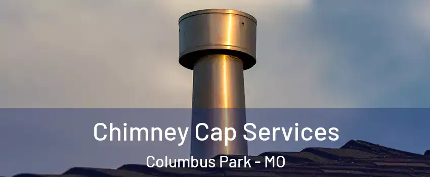 Chimney Cap Services Columbus Park - MO