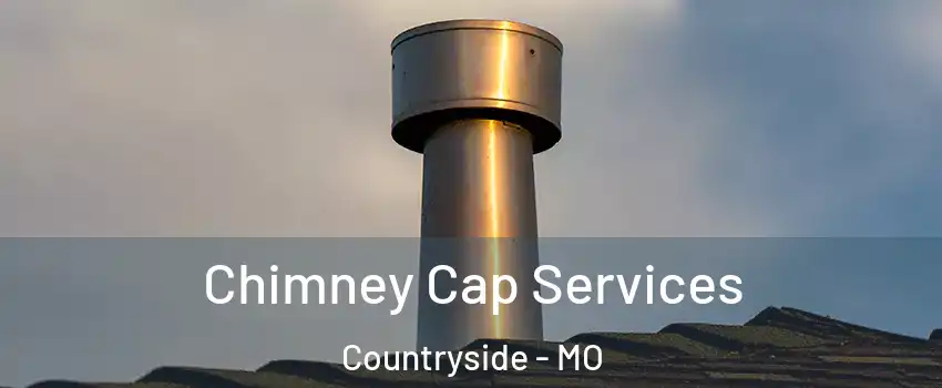 Chimney Cap Services Countryside - MO