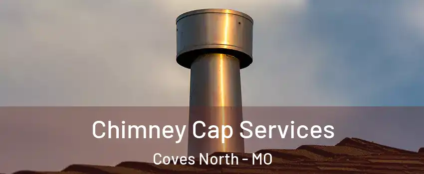 Chimney Cap Services Coves North - MO