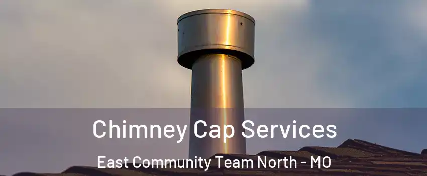 Chimney Cap Services East Community Team North - MO