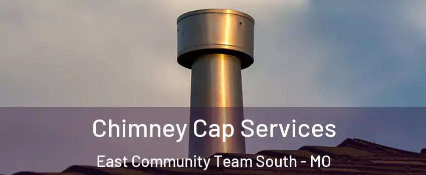 Chimney Cap Services East Community Team South - MO