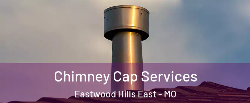 Chimney Cap Services Eastwood Hills East - MO