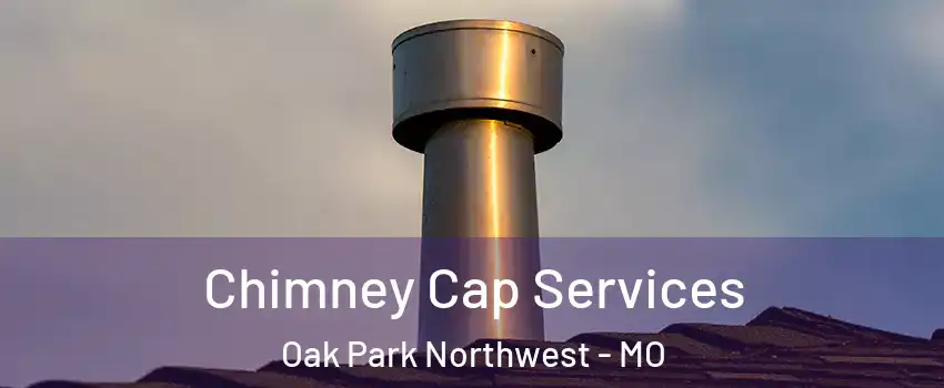 Chimney Cap Services Oak Park Northwest - MO