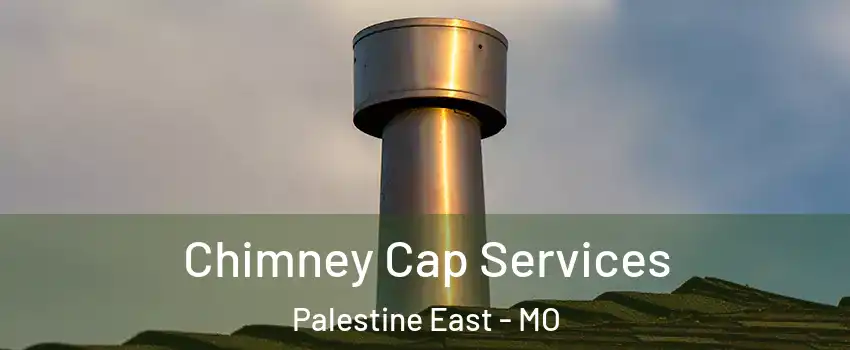 Chimney Cap Services Palestine East - MO