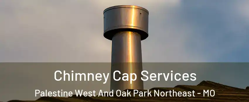 Chimney Cap Services Palestine West And Oak Park Northeast - MO