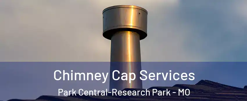 Chimney Cap Services Park Central-Research Park - MO