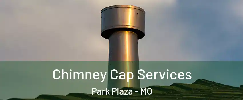 Chimney Cap Services Park Plaza - MO