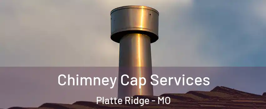 Chimney Cap Services Platte Ridge - MO