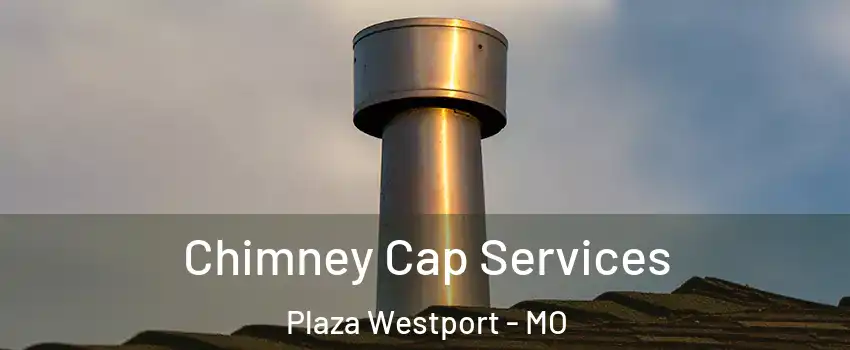 Chimney Cap Services Plaza Westport - MO