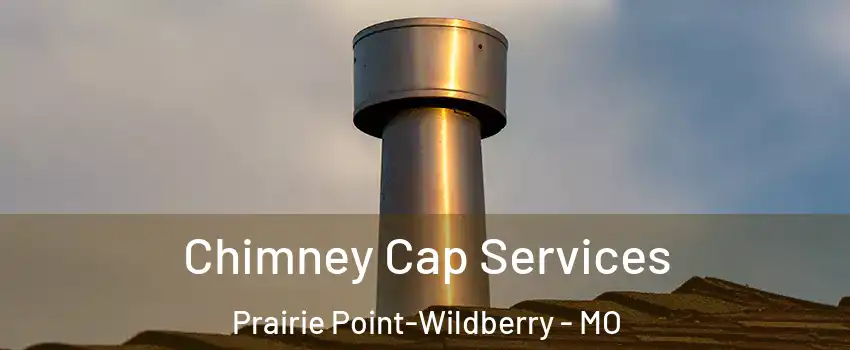 Chimney Cap Services Prairie Point-Wildberry - MO