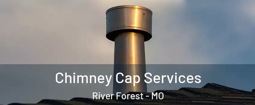 Chimney Cap Services River Forest - MO