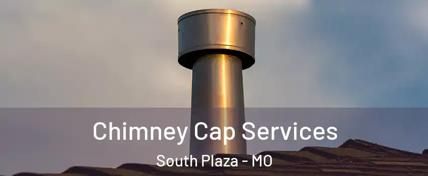 Chimney Cap Services South Plaza - MO