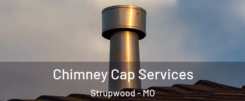 Chimney Cap Services Strupwood - MO