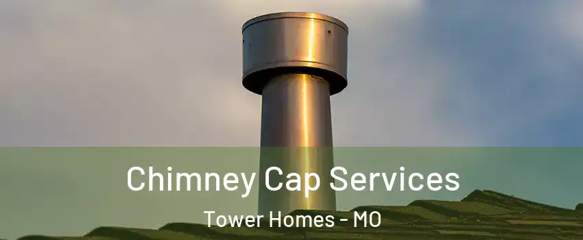 Chimney Cap Services Tower Homes - MO