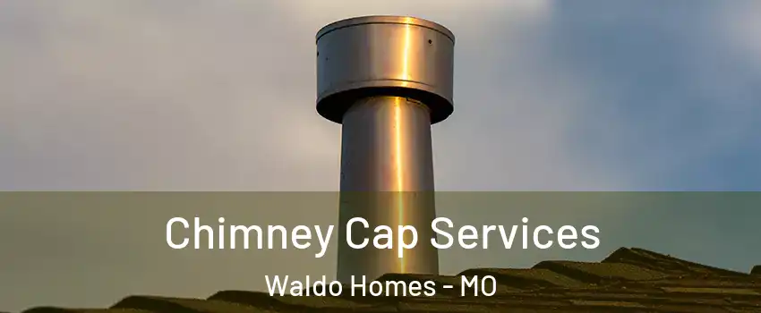 Chimney Cap Services Waldo Homes - MO
