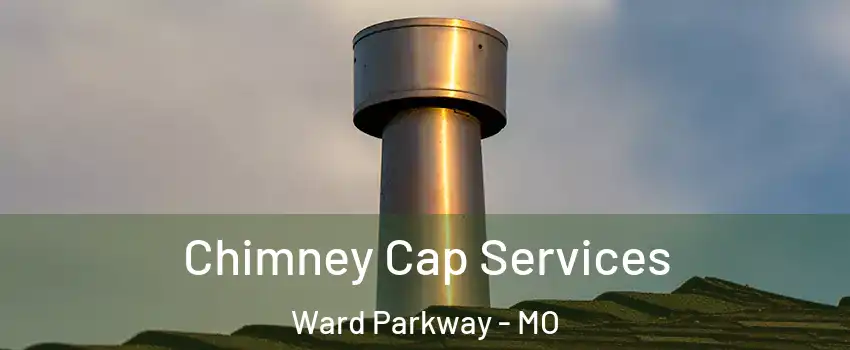 Chimney Cap Services Ward Parkway - MO