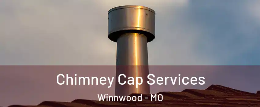 Chimney Cap Services Winnwood - MO