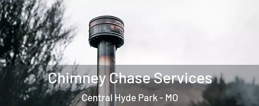 Chimney Chase Services Central Hyde Park - MO
