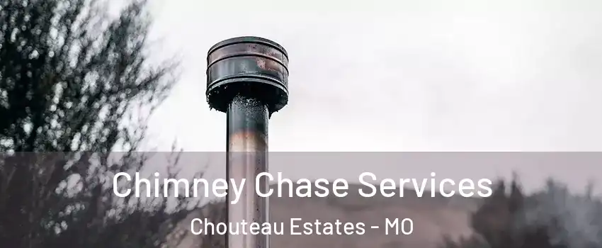 Chimney Chase Services Chouteau Estates - MO