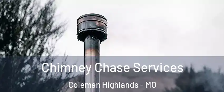 Chimney Chase Services Coleman Highlands - MO