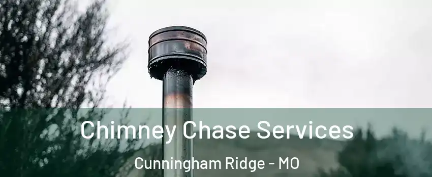 Chimney Chase Services Cunningham Ridge - MO