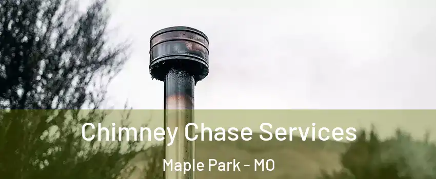 Chimney Chase Services Maple Park - MO