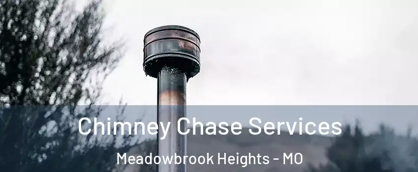 Chimney Chase Services Meadowbrook Heights - MO