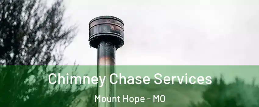 Chimney Chase Services Mount Hope - MO