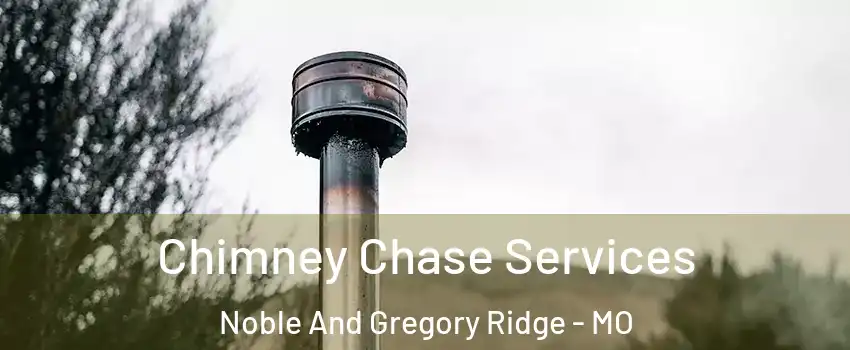 Chimney Chase Services Noble And Gregory Ridge - MO