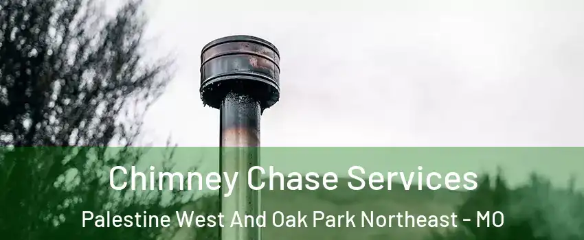 Chimney Chase Services Palestine West And Oak Park Northeast - MO