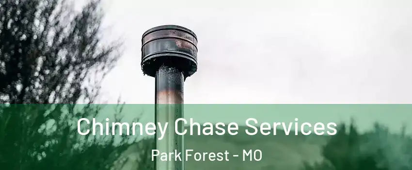 Chimney Chase Services Park Forest - MO