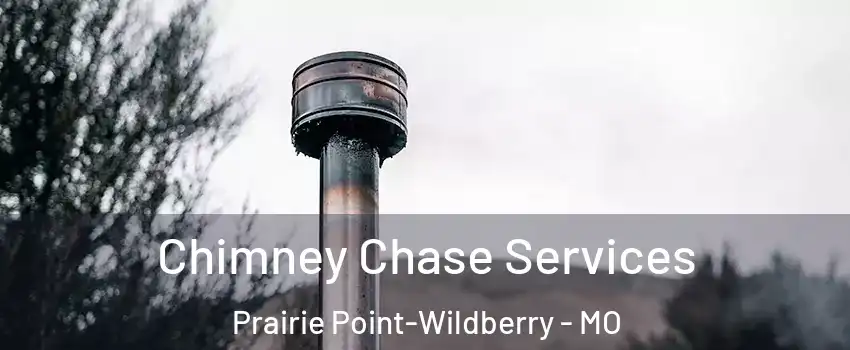 Chimney Chase Services Prairie Point-Wildberry - MO