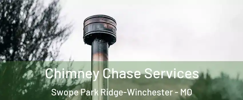 Chimney Chase Services Swope Park Ridge-Winchester - MO