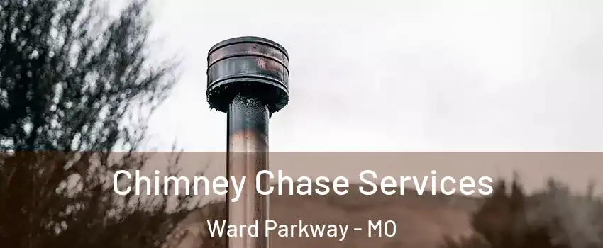 Chimney Chase Services Ward Parkway - MO