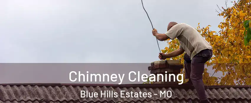 Chimney Cleaning Blue Hills Estates - MO