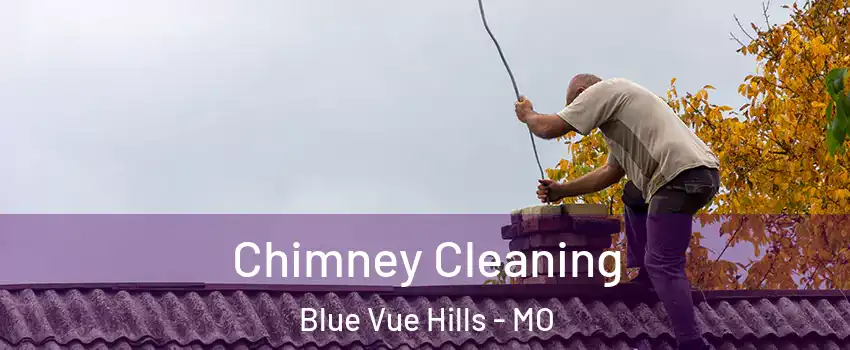 Chimney Cleaning Blue Vue Hills - MO
