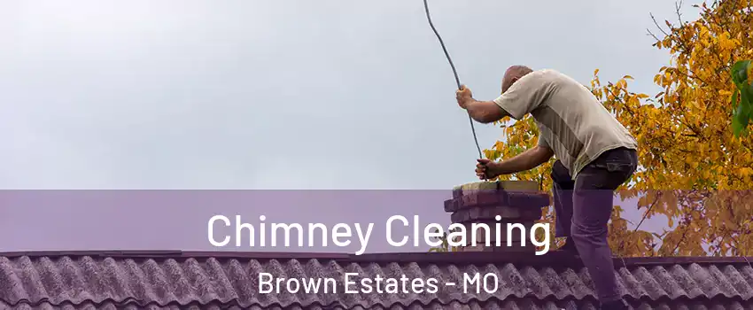 Chimney Cleaning Brown Estates - MO