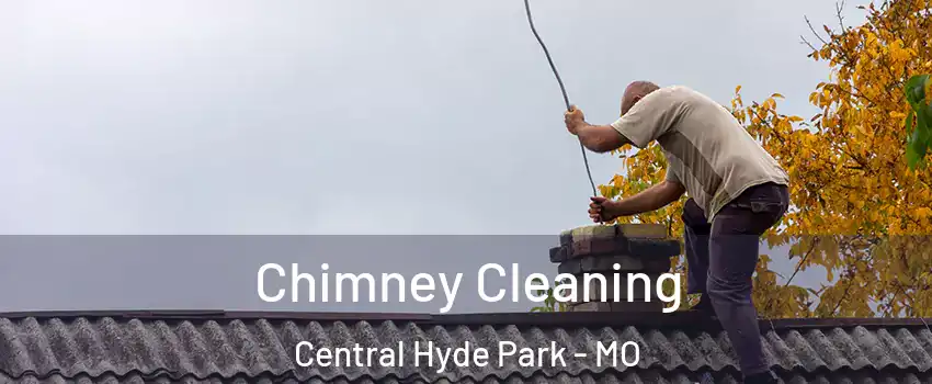 Chimney Cleaning Central Hyde Park - MO