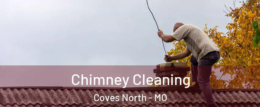 Chimney Cleaning Coves North - MO